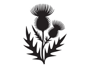 Elegant thistle flower silhouette design in a classic botanical style. Vector black silhouette. with white background
