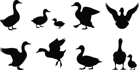 PrintDuck and goose silhouettes, flying and walking birds, bird family, waterfowl poses, nature wildlife, animal silhouettes, domestic and wild ducks