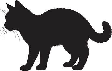 vector illustration of a cat