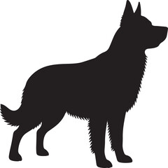 black and white wolf