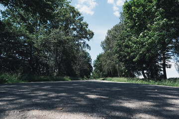 Scenic view of a quiet country road surrounded by lush greenery and tall trees, inviting exploration and adventure in nature's tranquility