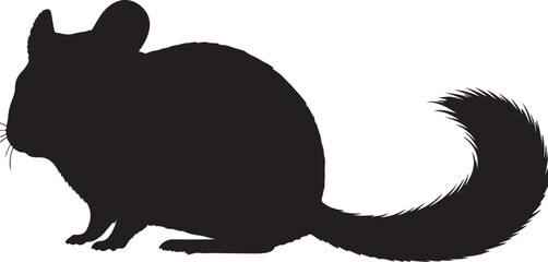 Chinchillas in silhouette