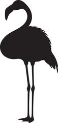 Obraz premium Flamingo in silhouette on white background