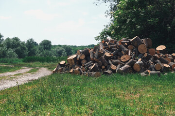 Pile of cut logs resting on green grass near a dirt path, surrounded by lush trees and open fields under a clear blue sky