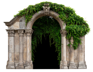 gate of the ancient castle