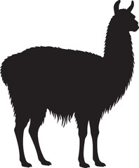 Fototapeta premium Llama in silhouette on white