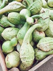 Fresh green gourds piled together in a wooden crate, showcasing various shapes and textures, representing natural produce and organic farming practices