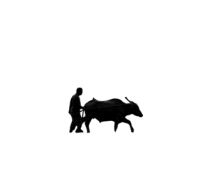 Silhouette of a farmer plowing a field with an ox near a hut and palm trees in black  