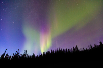 An aurora is a natural light display in Earth's sky. aurorae, auroras. northern lights (aurora borealis), southern lights (aurora australis). Chena Hot Springs Road, Fairbanks, Alaska March