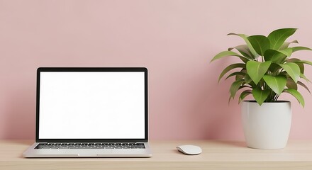 Laptop with a plant on a desk