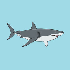 Fototapeta premium Great White Shark Vector Illustration