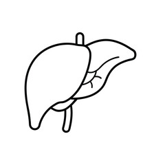 Minimalist Line Drawing of Human Liver with Bile Duct in Black and White Outline Style