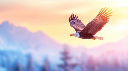 wing wildlife An eagle soaring with outstretched wings, against a mountainous backdrop.