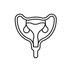 Minimalist Line Drawing of Female Reproductive System with Uterus, Fallopian Tubes, and Ovaries in Black and White Outline Style