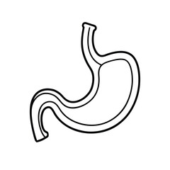 Minimalist Line Drawing of Human Stomach with Esophagus and Duodenum in Black and White Outline Style