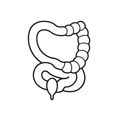 Minimalist Line Drawing of Human Large Intestine with Ascending, Transverse, Descending, Sigmoid Colon, and Rectum in Black and White Outline Style