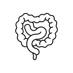 Minimalist Line Drawing of Human Large Intestine with Colon and Rectum in Outline Style
