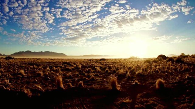 Sunrise over the australian outback desert landscape with mountains in the distance