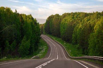 Asphalt country road among lush forests