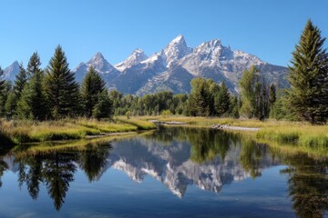 Stunning Grand Tetons reflect beautifully on a serene lake surrounded by lush trees and vibrant greenery during a clear day
