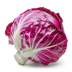 Obraz premium red cabbage isolated on white background