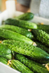 Healthy vegetable salad with tomatoes, peppers, cucumbers, onion and cheese.