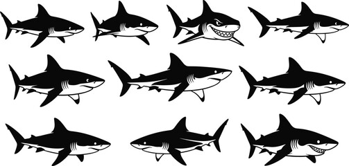 Cartoon Shark Vector Collection, Marine Life Illustration, Ocean Predator Graphics, Educational Design Elements, Children’s Book Art, Adobe Stock Asset