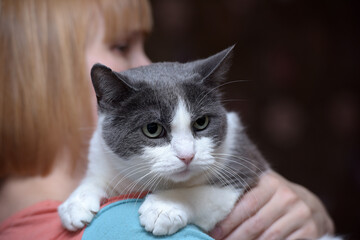 A close-up of a grey and white cat with expressive green eyes, lying on a person's shoulder.  