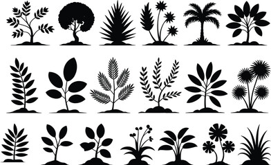 Collection of Diverse Plant Silhouettes, Botanical Illustrations, Nature Elements, Foliage Designs, Garden Art, Trees, Shrubs, Leaves, Adobe Stock