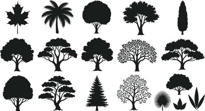 Collection of Tree Silhouettes, Diverse Tree Shapes, Nature Elements, Perfect for Design Projects, Adobe Stock, SEO Optimized, Botanical Vector Illustration