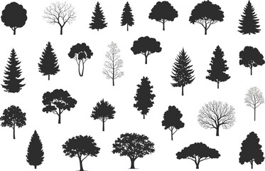 Collection of Tree Silhouettes, Diverse Tree Shapes, Perfect for Nature Illustrations, Botanical Art, Forest Graphics, Adobe Stock, SEO Optimized