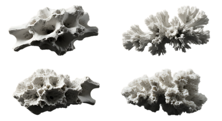 Professional image with compositional elements