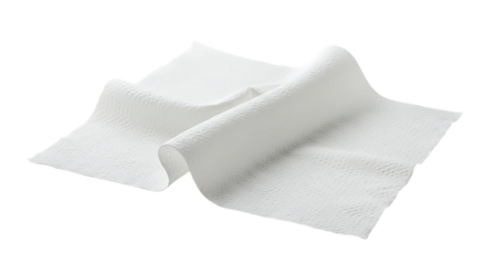 elegant modern detailed professional high quality White Paper Towel with a Textured Surface