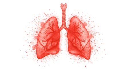 colorful vibrant crisp clean stylish elegant modern detailed professional high quality Metadata Generation