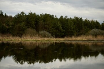reflection of trees in water