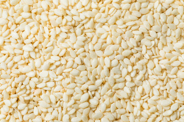 Organic Raw White Sesame Seeds