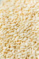 Organic Raw White Sesame Seeds