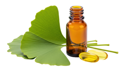 Isolated Ginkgo Biloba