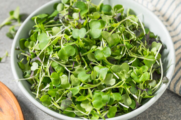 Raw Organic Microgreen Sprouts