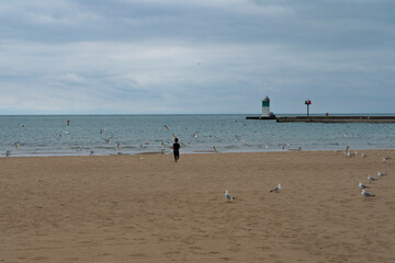 kid running at seagulls on the beach