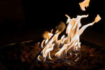 roasting marshmallows on a fire 