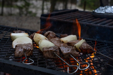 beef and onion shish kebab on the grill