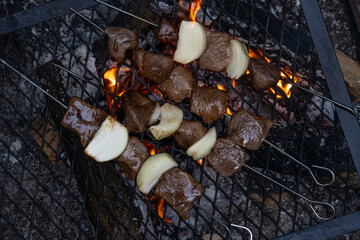 beef and onion shish kebab on the grill