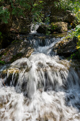 small waterfall in the forest
