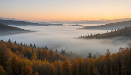Fototapeta premium Fog rolling through a valley of golden autumn trees, with distant hills fading into the horizon.