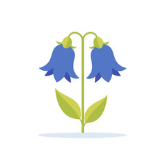 Isolated illustration of two bluebell flowers with green stem and leaves on a simple white background