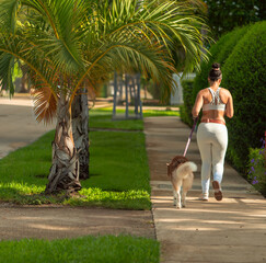 young woman walking dog street summer miami 