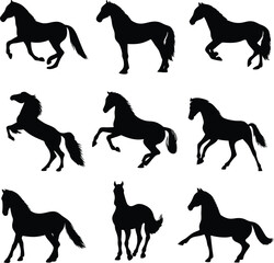 Dynamic Horse Silhouettes A Study in Movement and Form Capturing the Majestic Essence of Equine Grace