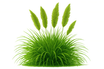 Lush green grass tuft with spikes growing on a transparent background, perfect for nature and landscaping projects