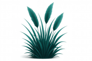 Turquoise ornamental grass with fluffy tips growing on a transparent background, perfect for nature-themed designs